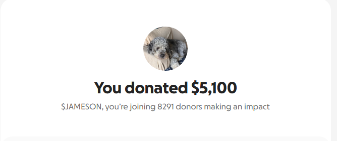 Donation screenshot
