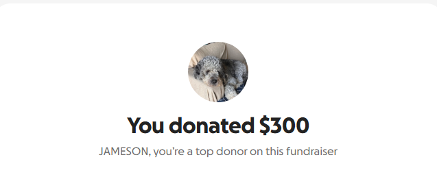 Donation screenshot