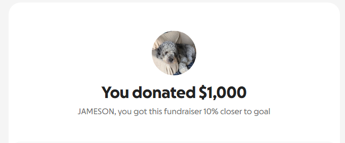 Donation screenshot