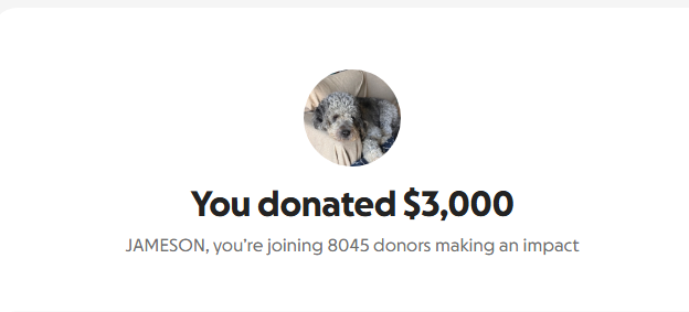 Donation screenshot