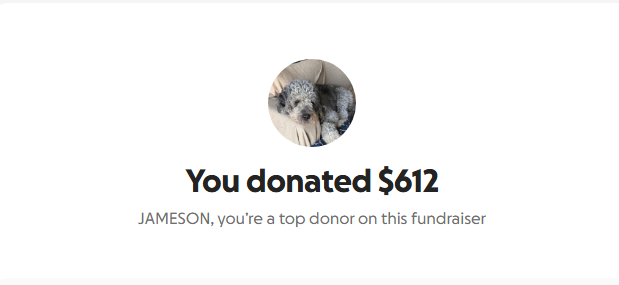 Donation screenshot