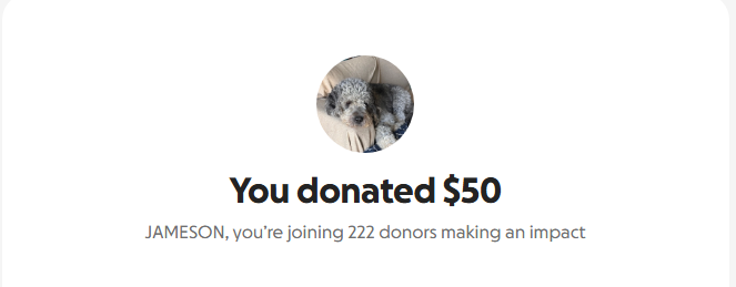 Donation screenshot